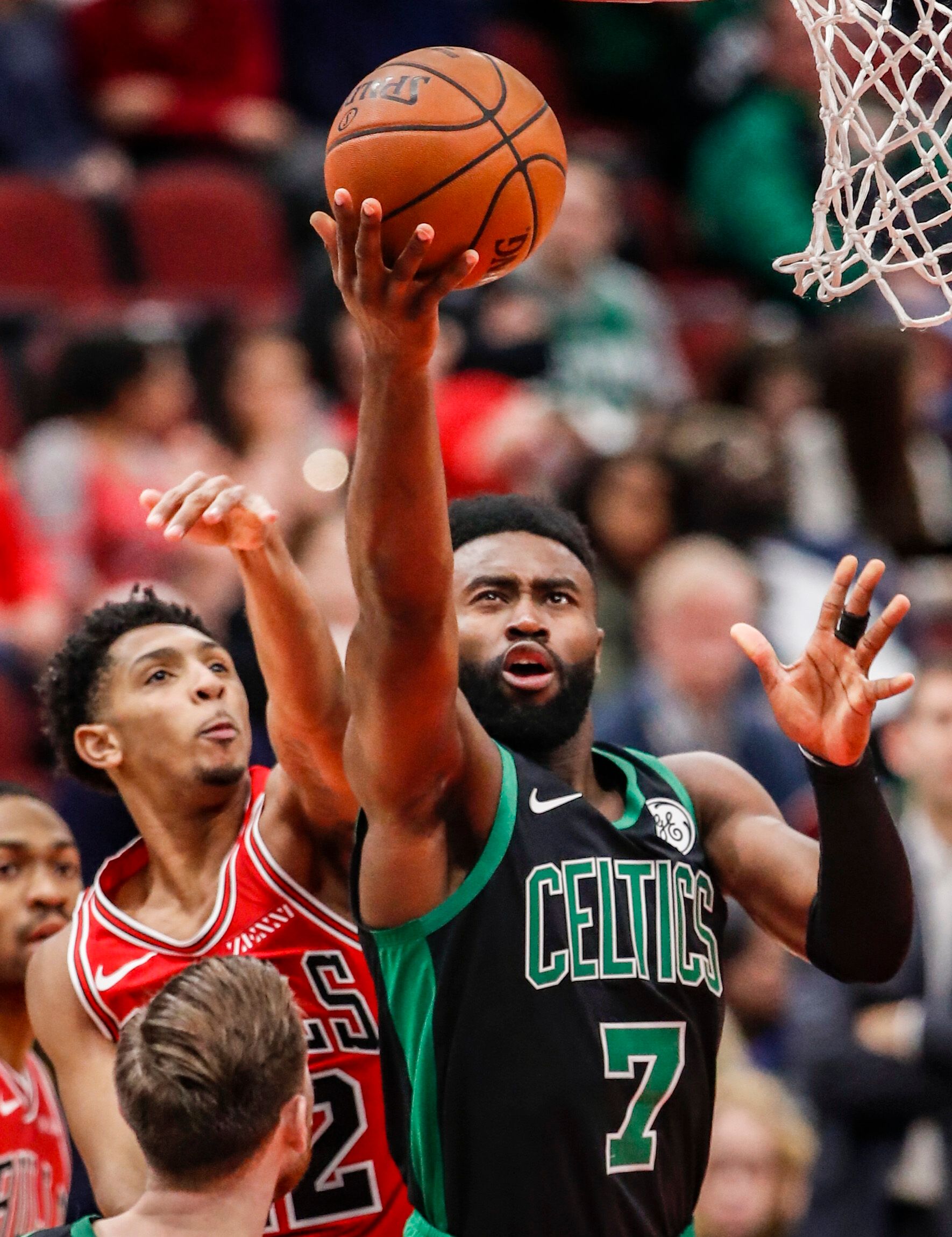 有的专注单 有的专注单